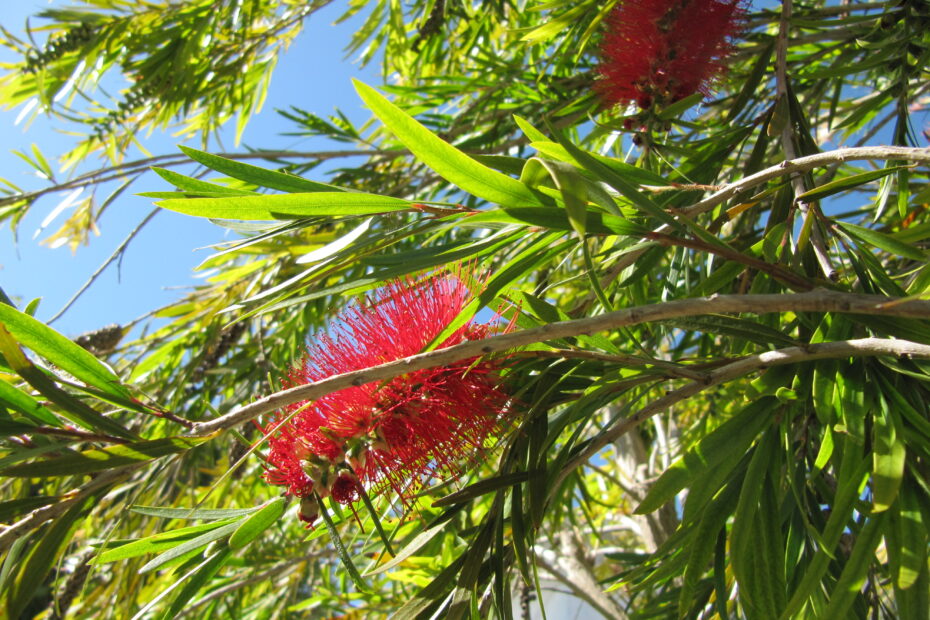 B&B huisje Andalusië huren