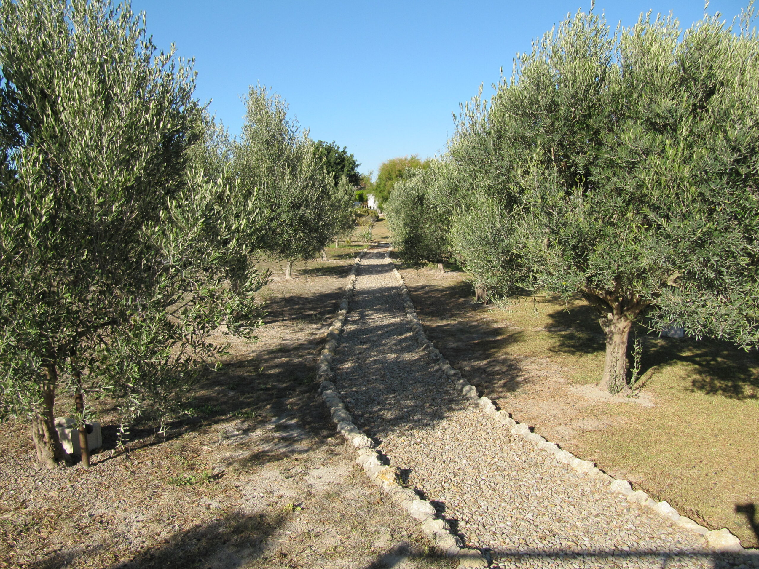 B&B Andalusië Bed and Breakfast Nederlandse eigenaren